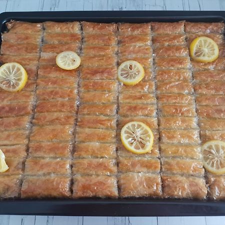 Guesthouse Zimovski Peštani Екстериор снимка