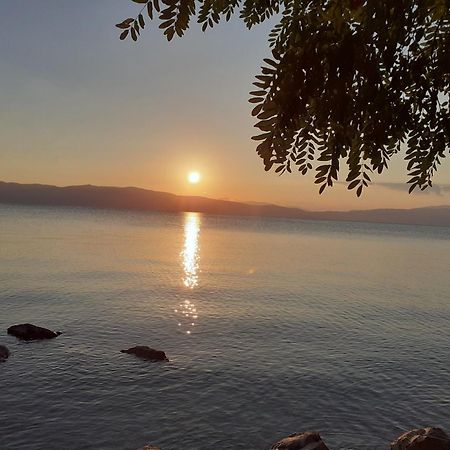 Guesthouse Zimovski Peštani Екстериор снимка