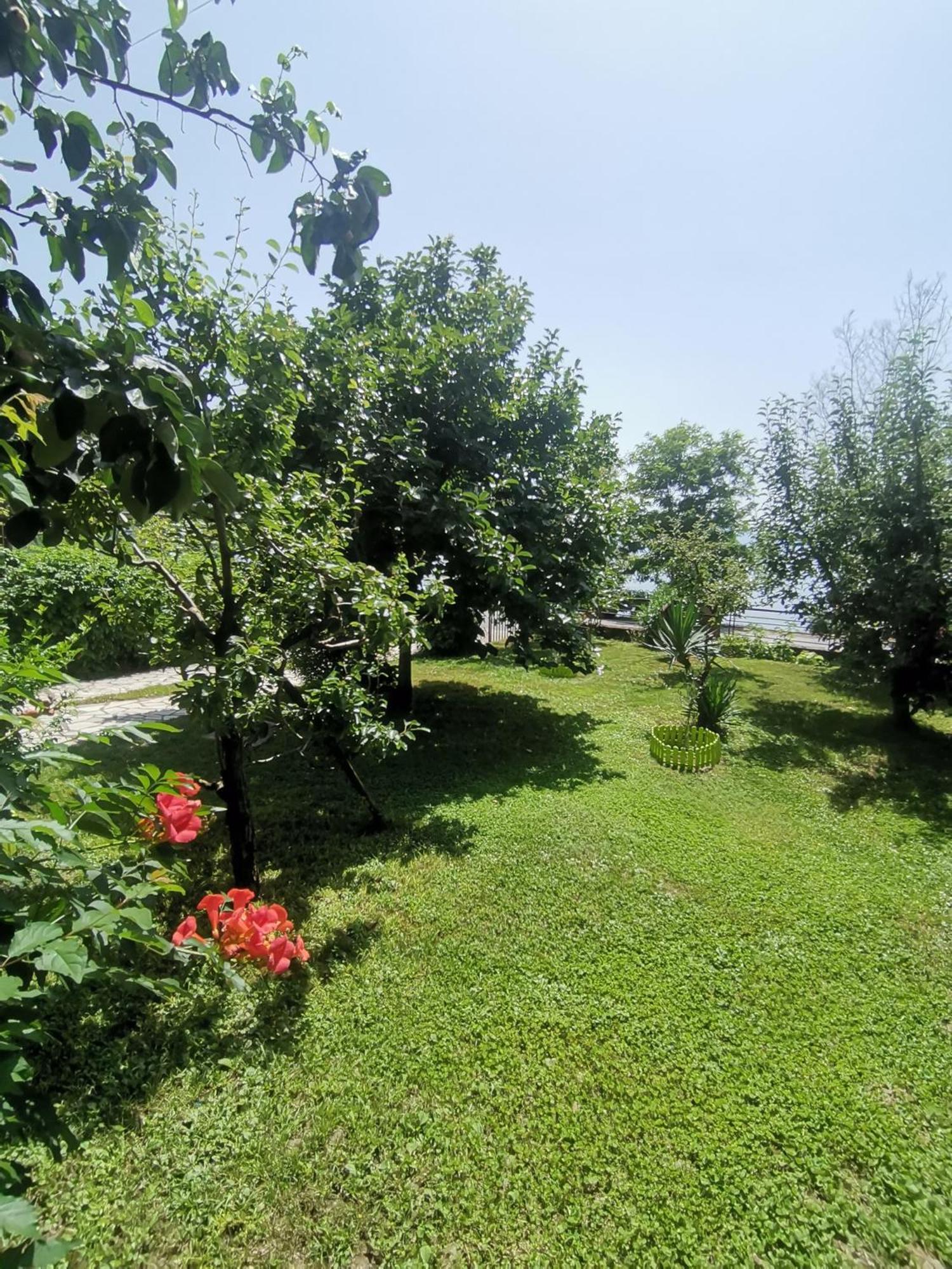 Guesthouse Zimovski Peštani Екстериор снимка