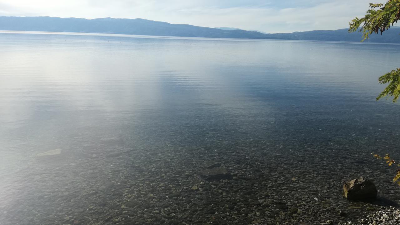 Guesthouse Zimovski Peštani Екстериор снимка