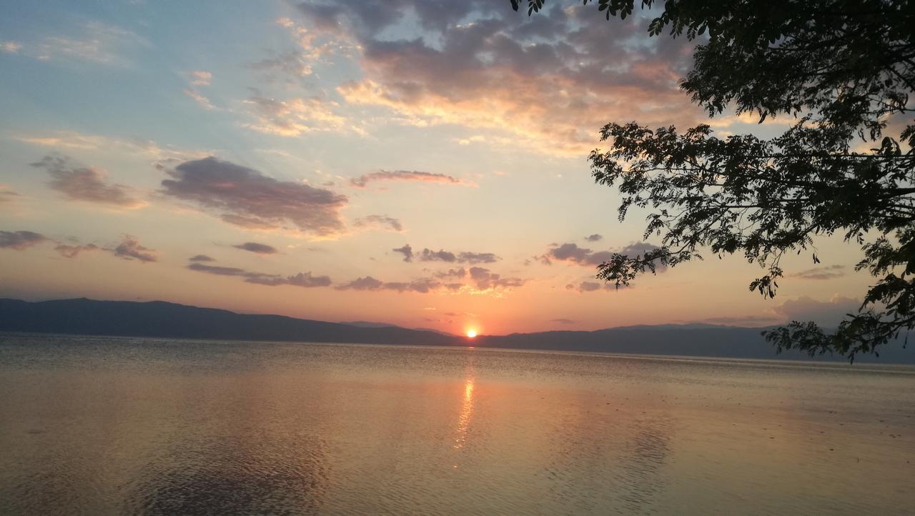 Guesthouse Zimovski Peštani Екстериор снимка