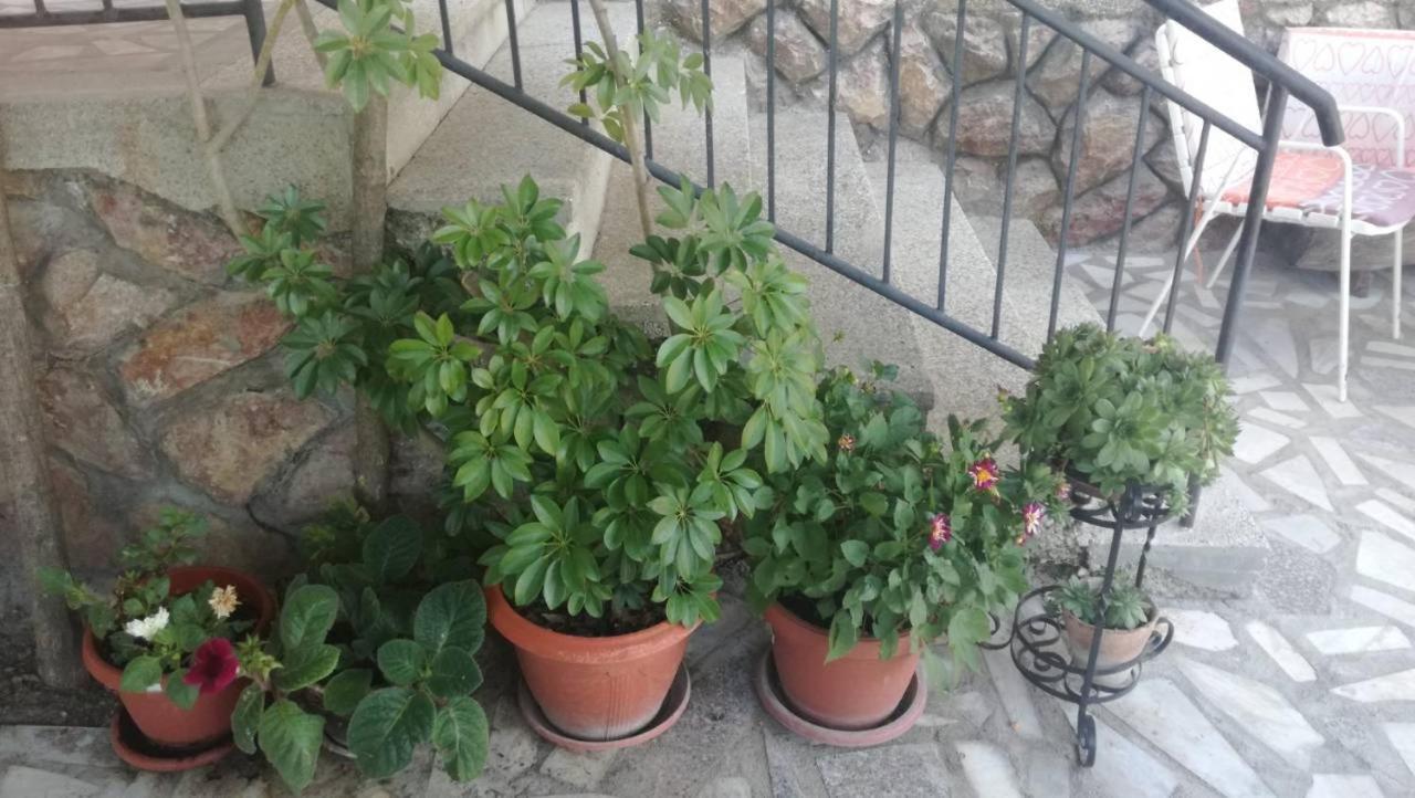 Guesthouse Zimovski Peštani Екстериор снимка