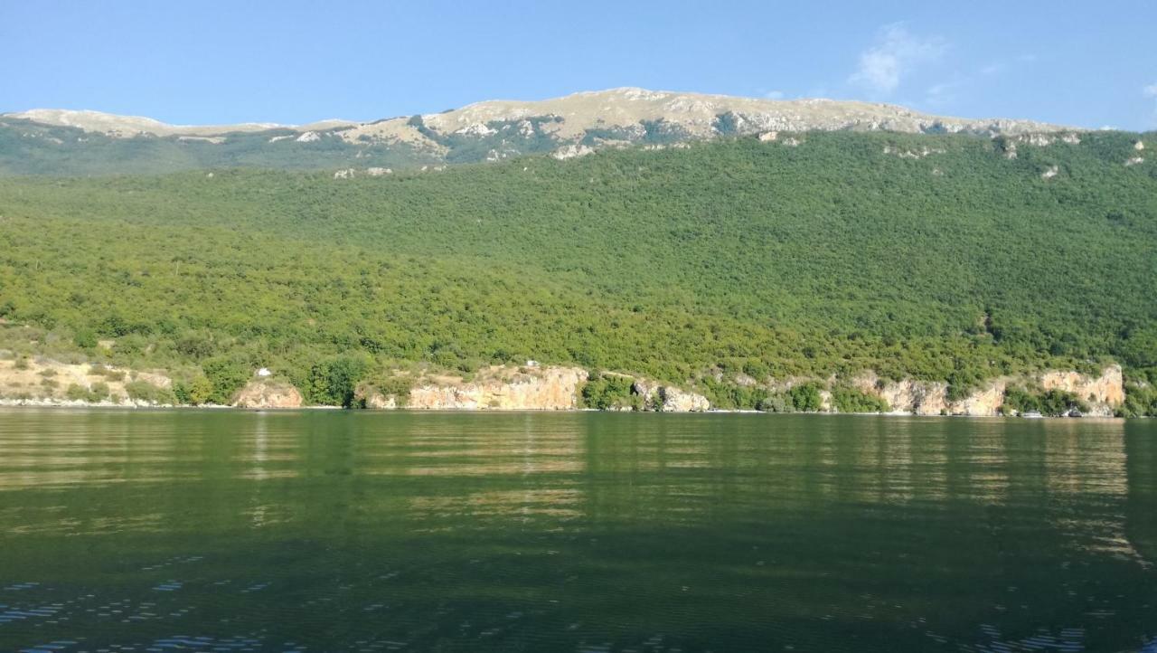 Guesthouse Zimovski Peštani Екстериор снимка